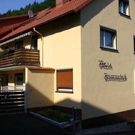 Haus-Kummeleck-Wohnung-3 Бад-Лаутерберг Экстерьер фото
