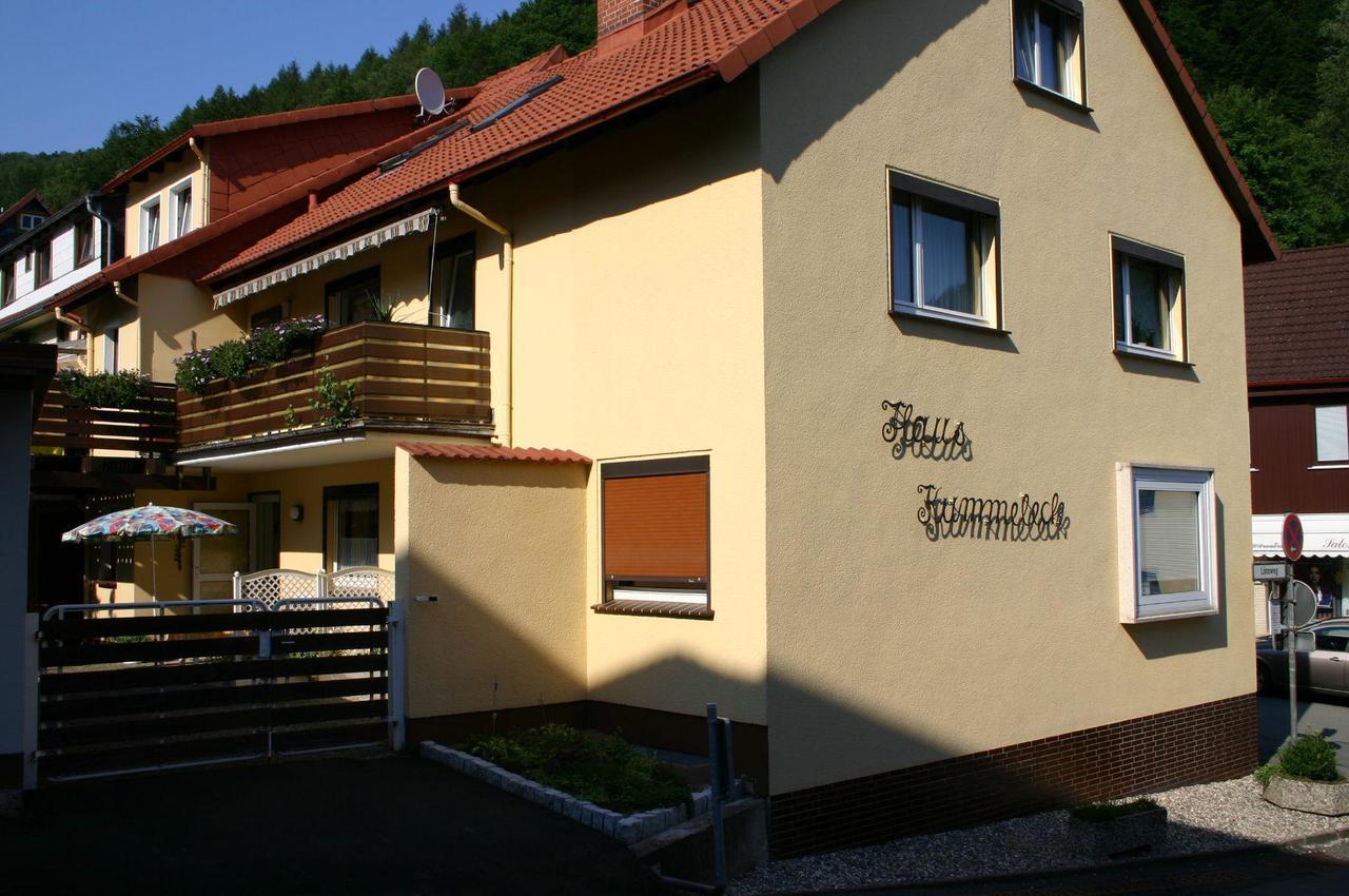 Haus-Kummeleck-Wohnung-3 Бад-Лаутерберг Экстерьер фото
